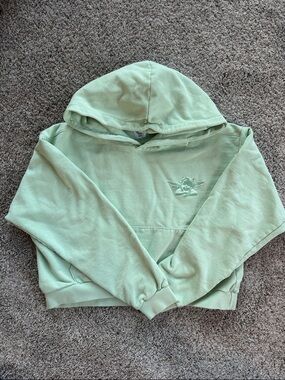 Boys Lie Mint Green Hoodie Graphic Label-Have nothing nice to say get blocked